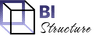 BI Structure